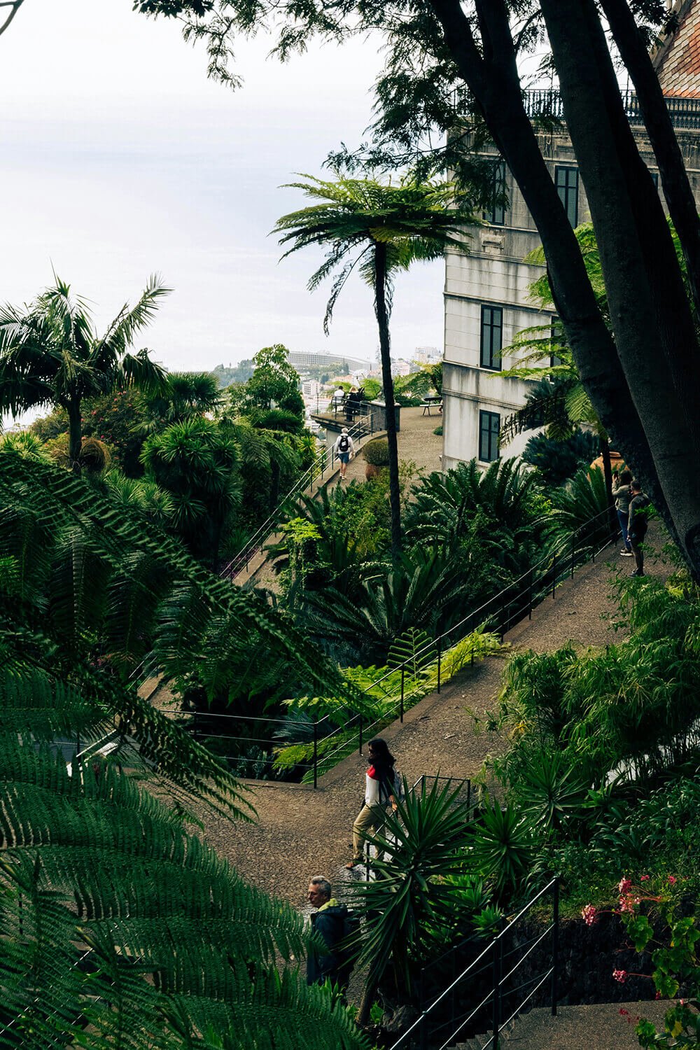 Neo-Nomadism: The Technology of the Perpetual Traveler